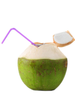 coconut